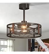 Passky 20 Inch Farmhouse Caged Ceiling Fans with Lights and Remote, Black Downrod Mount Bladeless...