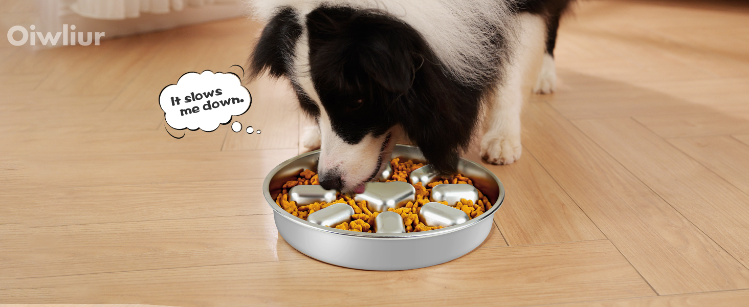 slow feeder dog bowls