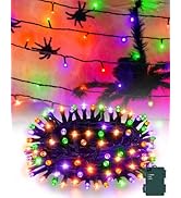 Kelumi Halloween String Lights Battery Operated, Orange Purple and Green Fairy Lights with Timer ...