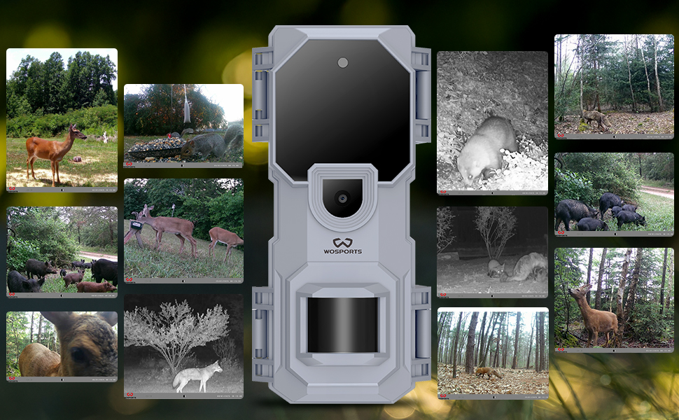 game camera