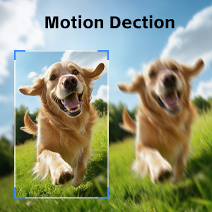 motion detection