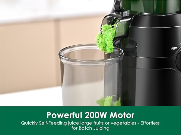 slow juicer reverse function quiet motor juicer machine vegetable fruit