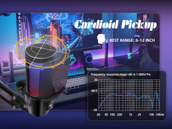 Condenser Dynamic Mic