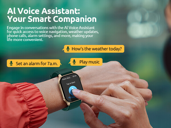 Voice Assistant