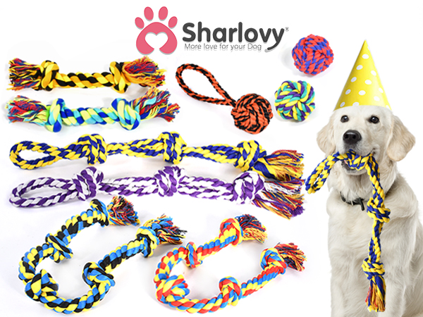 dog toys 9p-01