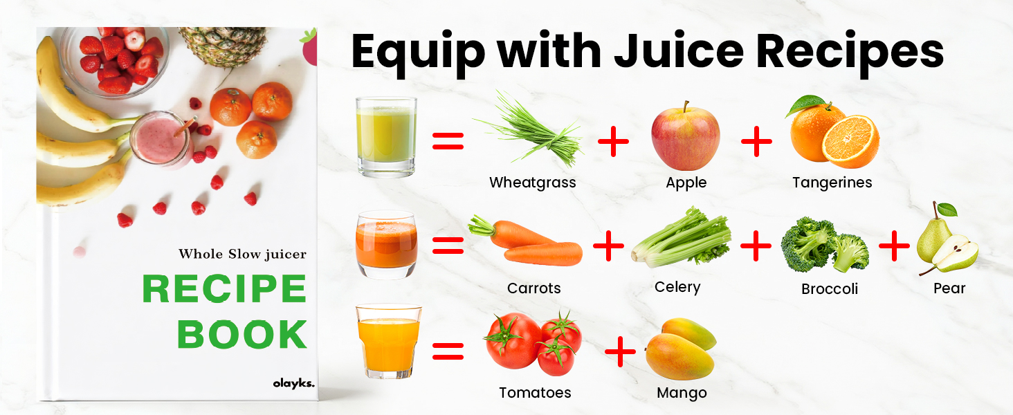 Cold Press Juicer