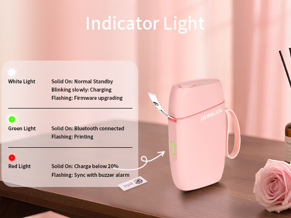 Indicator Light