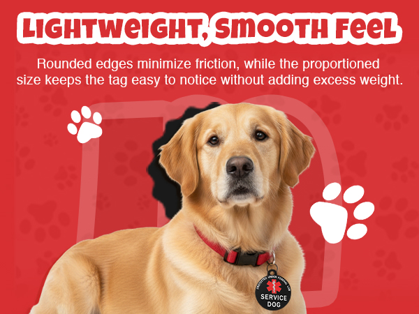 service dog wearing federal protection tag in public place service animal