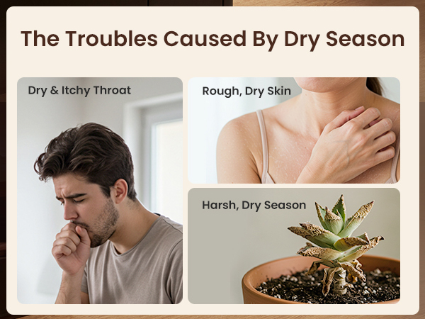 Humidifier Large Room