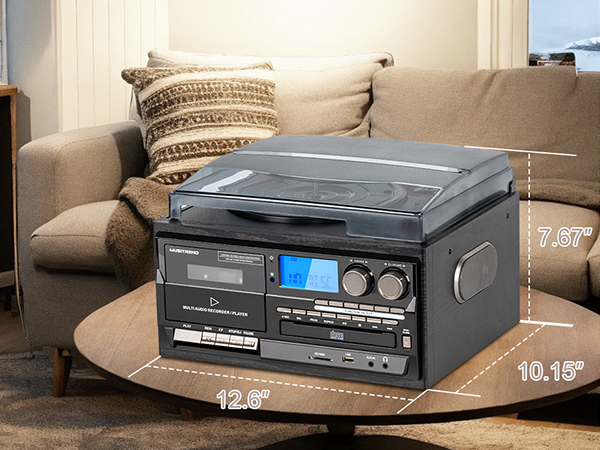 9 in 1 Record Player