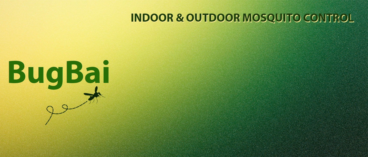 citronella incense sticks