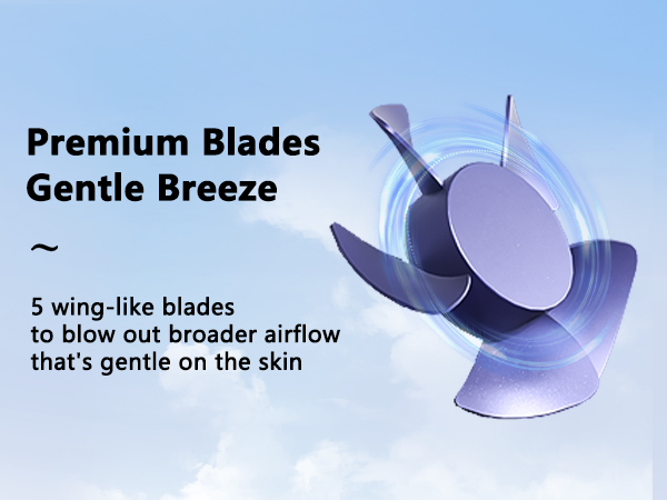 Gentle Breeze