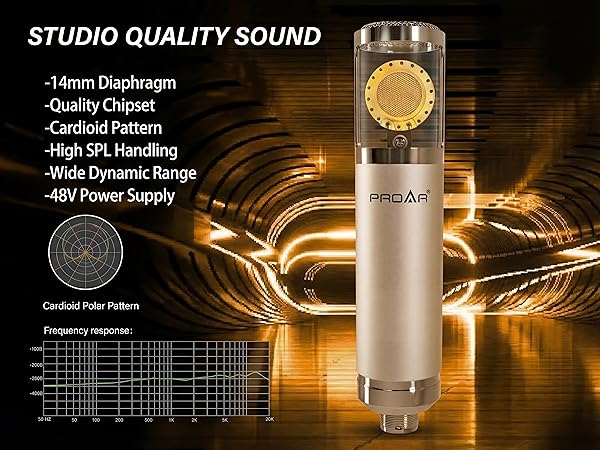 recording microphone