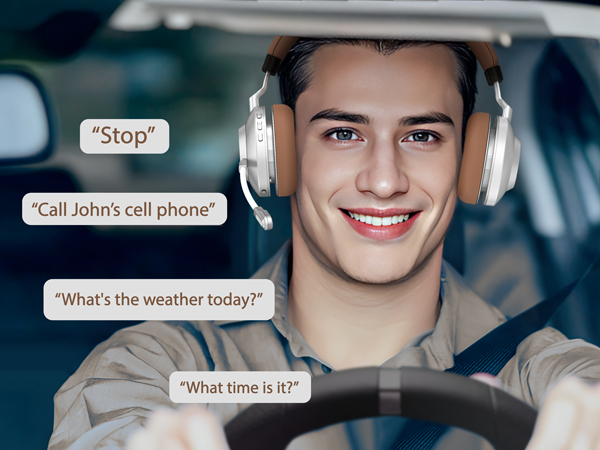 wireless headphones with mic