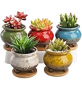 TOPZEA 5 Pack Succulent Pots Planter, 3.8 Inch Tripod Glazed Ceramic Cactus Planter Round Plant B...