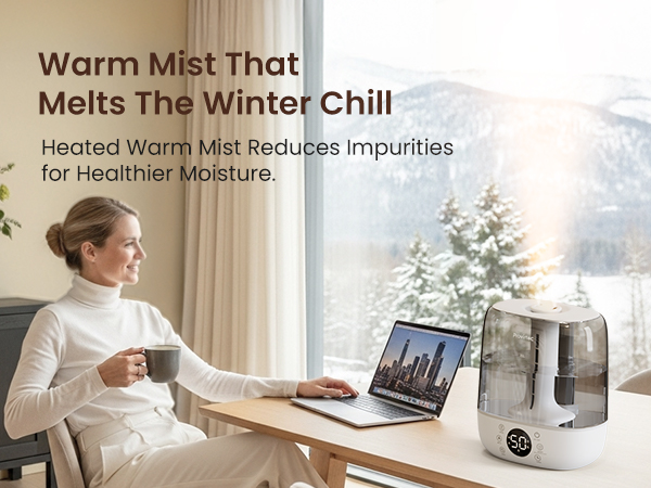 warm mist humidifier