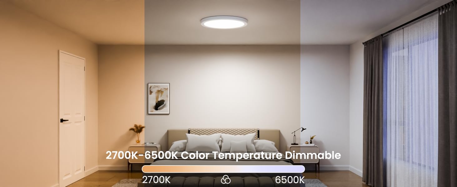 Smart Ceiling Light