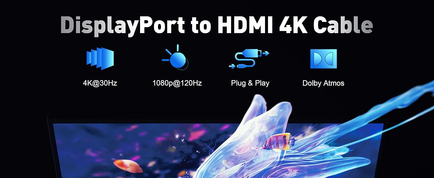 displayport to hdmi