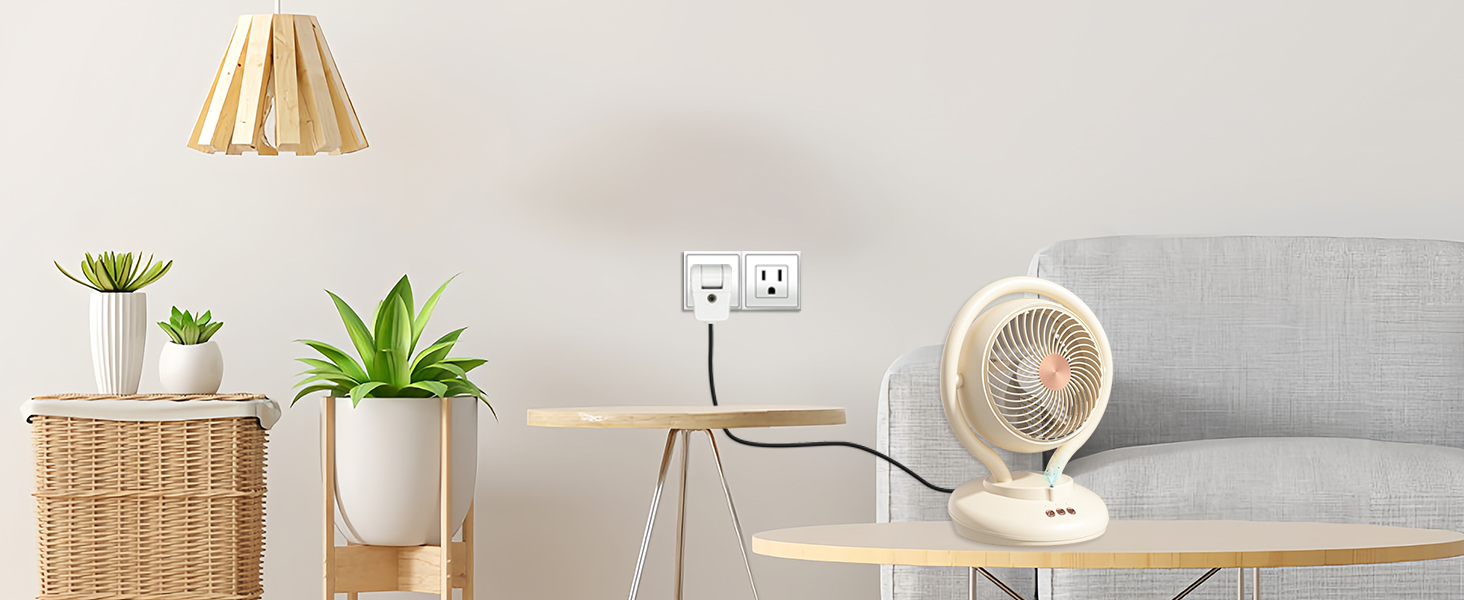 Replacement Plug 
