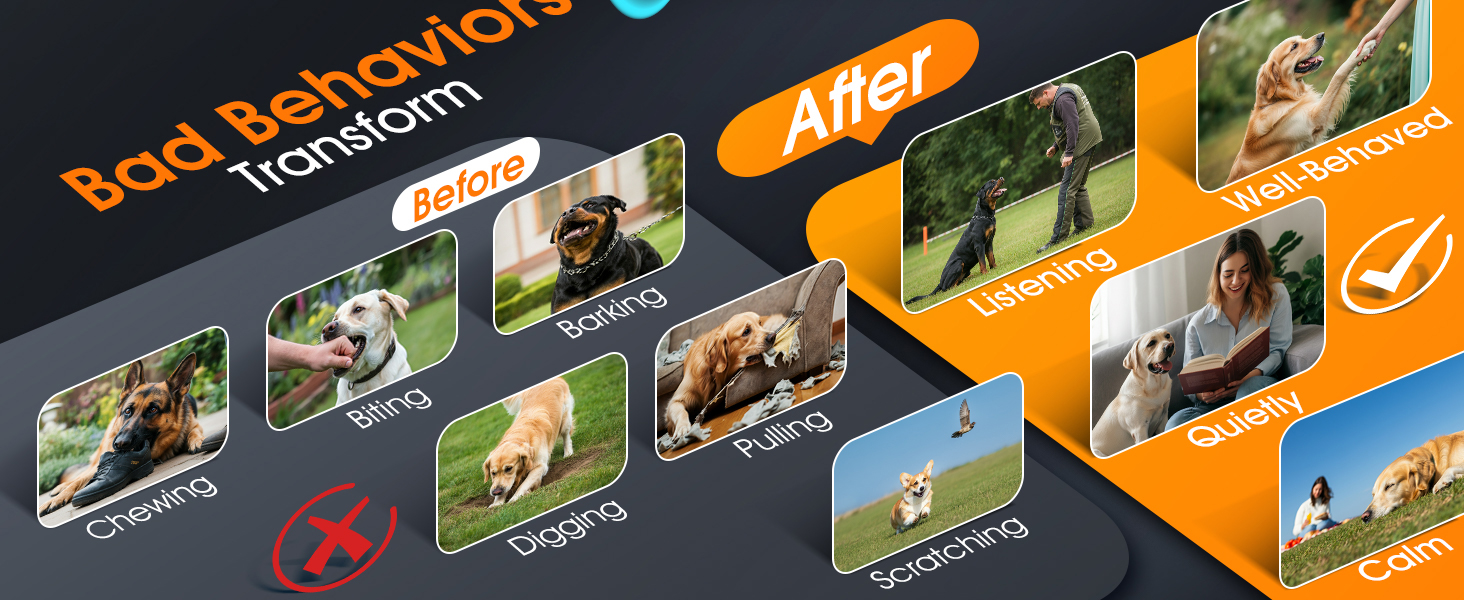 ultrasonic bark deterrent