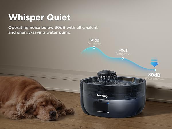 water fountain for dogs inside