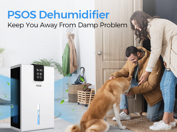 dehumidifier