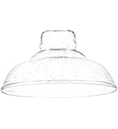 Seeded Glass Replacement Shade, High Transmittance Glass Lampshade Covers for E26 Vanity lighting...