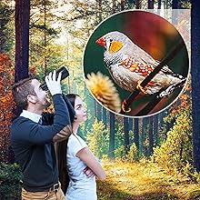 Lifes Breadth monocular for adults offers fantastic value while delivering clear bright images