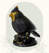bird caps