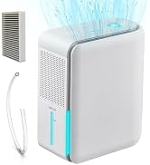 DINZAN 3-in-1 Smart Humidifier &amp; Dehumidifier combo with Air Filtration - 1000ml Tank, Auto Humid...