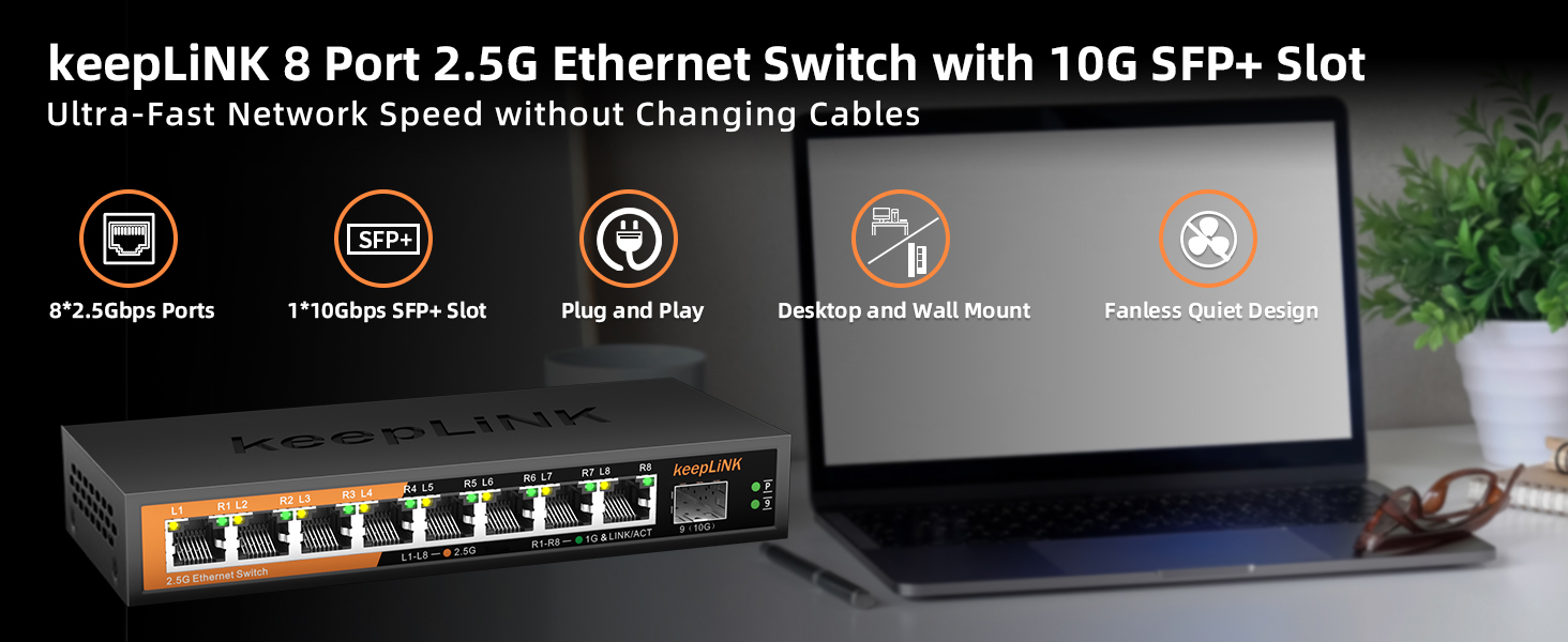 2.5g switch
