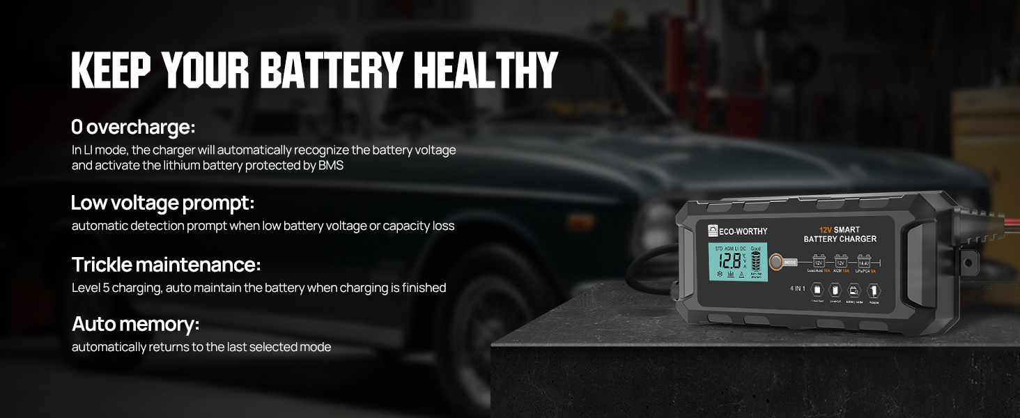 battery charger