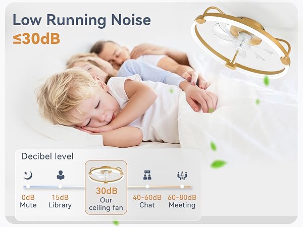 low profile ceiling fan