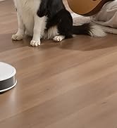 robot vacuum M3