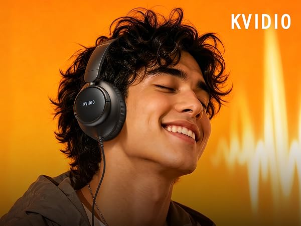 Wired Headphones with Mic