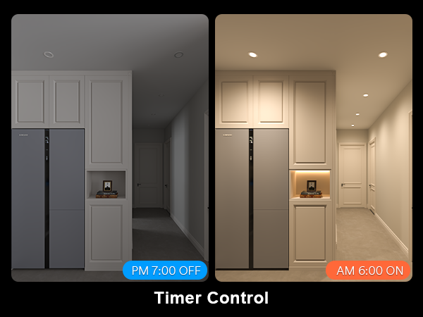 Schedule &amp; Timer