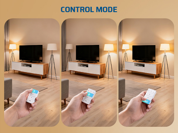 remote switch