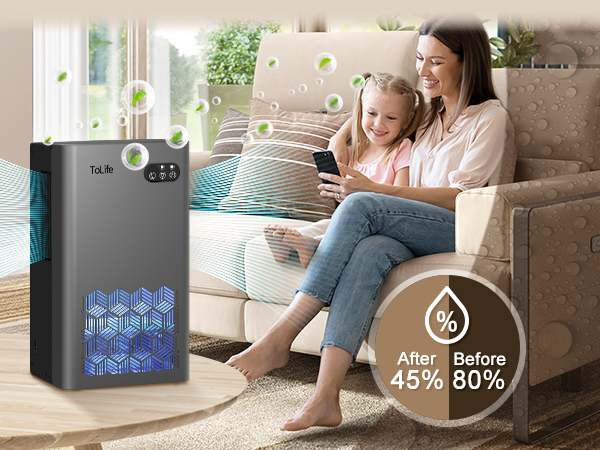dehumidifiers for home