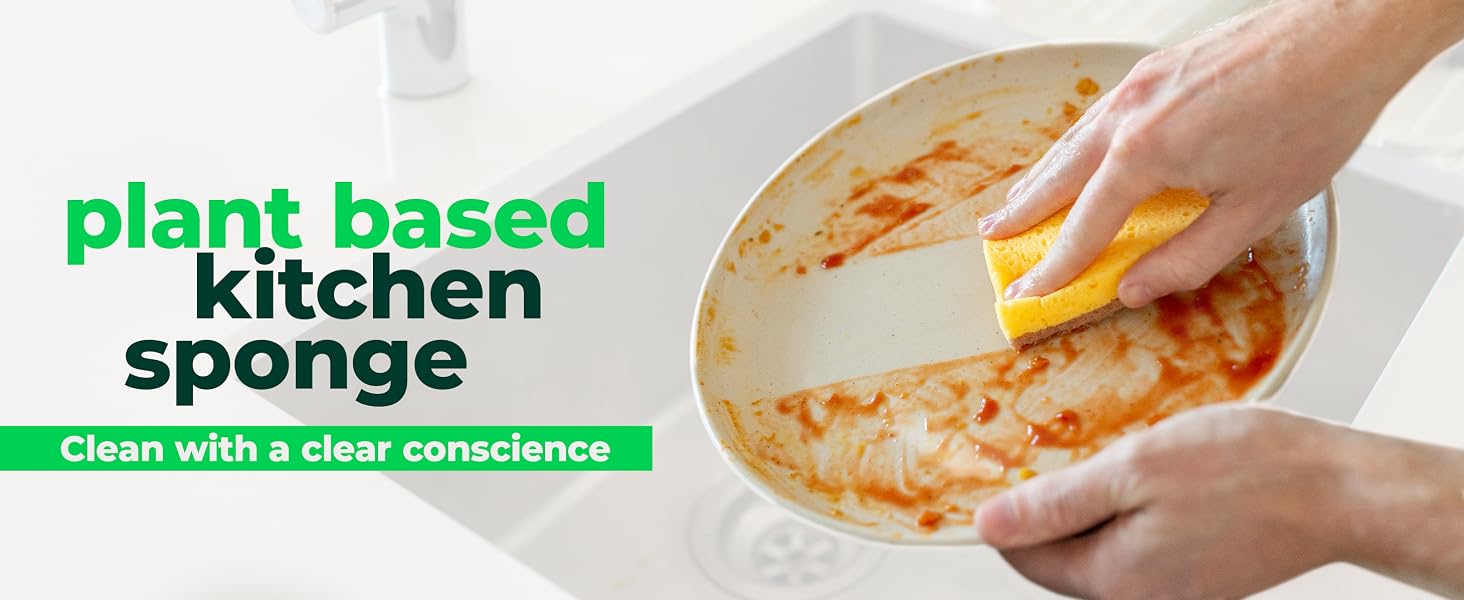 plant based kitchen sponge