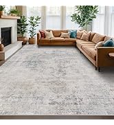 Hazo Haus Modern Farmhouse Area Rug for Living Room - 10x14 Blue Gray Big Rug for Dining Room Tab...