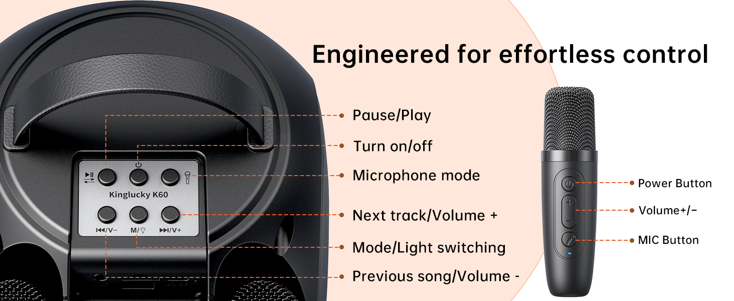 Karaoke Machine for Adults &amp;amp; Kids Portable Bluetooth Karaoke Speaker with 2 Wireless Microphones