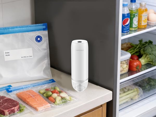 portable vacuum sealer for travel