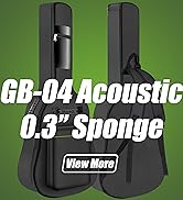 Guitar Bag 4