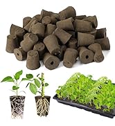 Bigmeta 50 Pcs Rooting Sponges, Starter Plugs for Seedlings or Cuttings, Rapid for Soil, Tray or ...