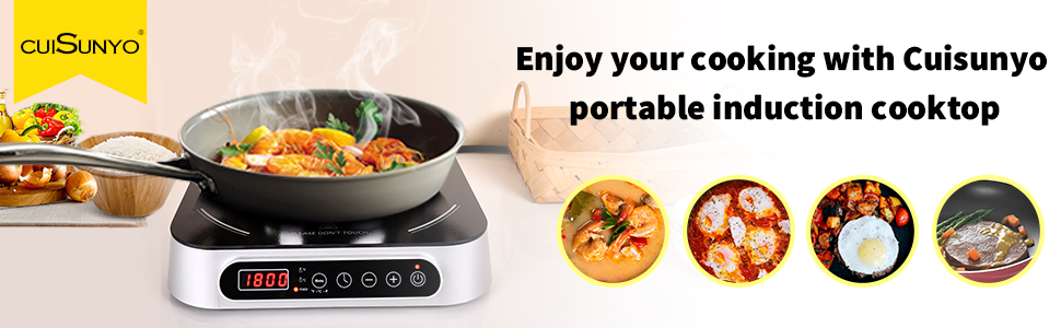 portable induction burner