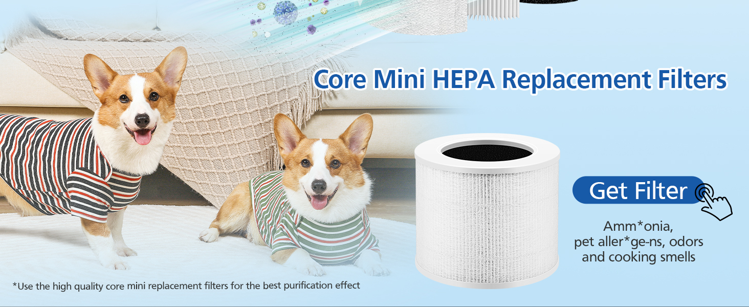 Core mini replacement filter