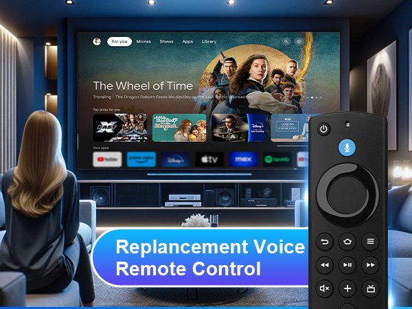 Replacement Remote Control