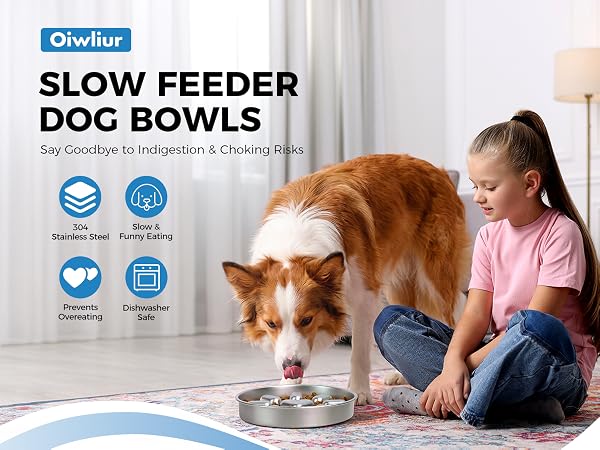 slow feeder dog bowls