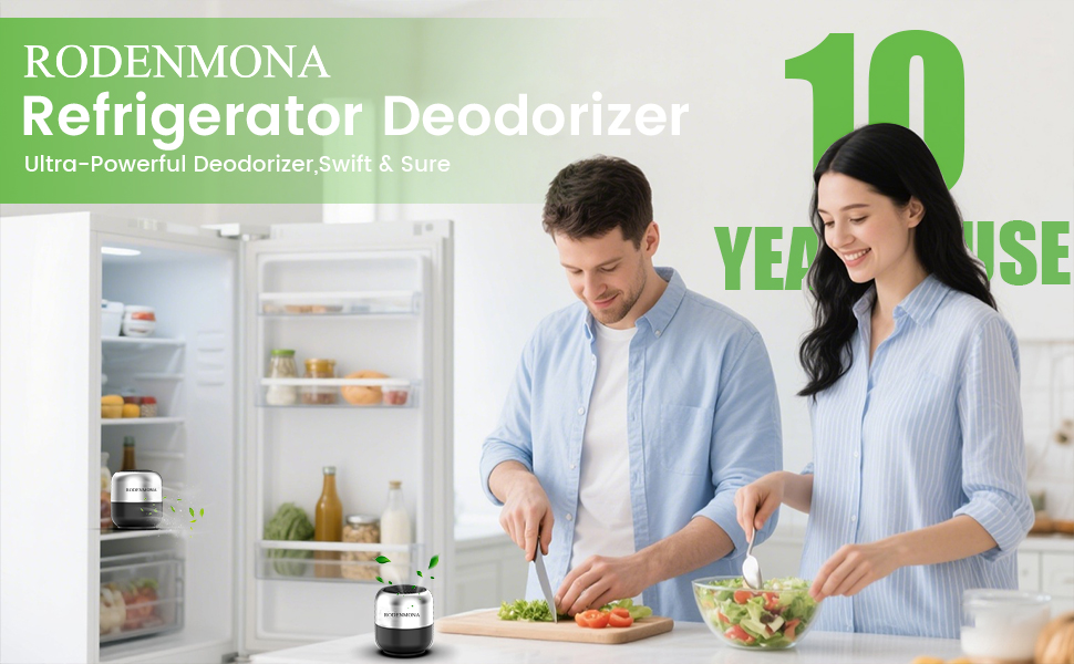 refrigerator deodorizer