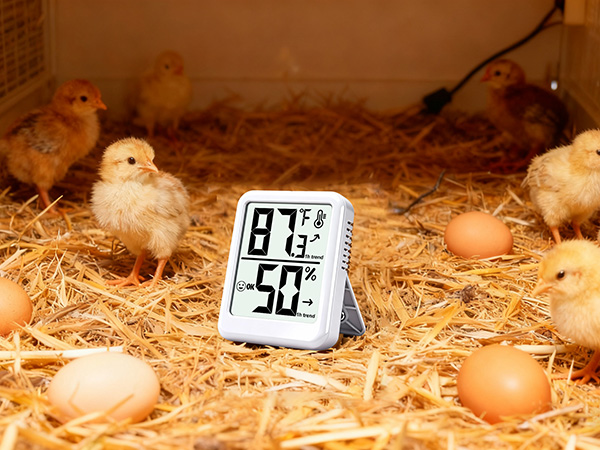 Humidity Meter Gauge